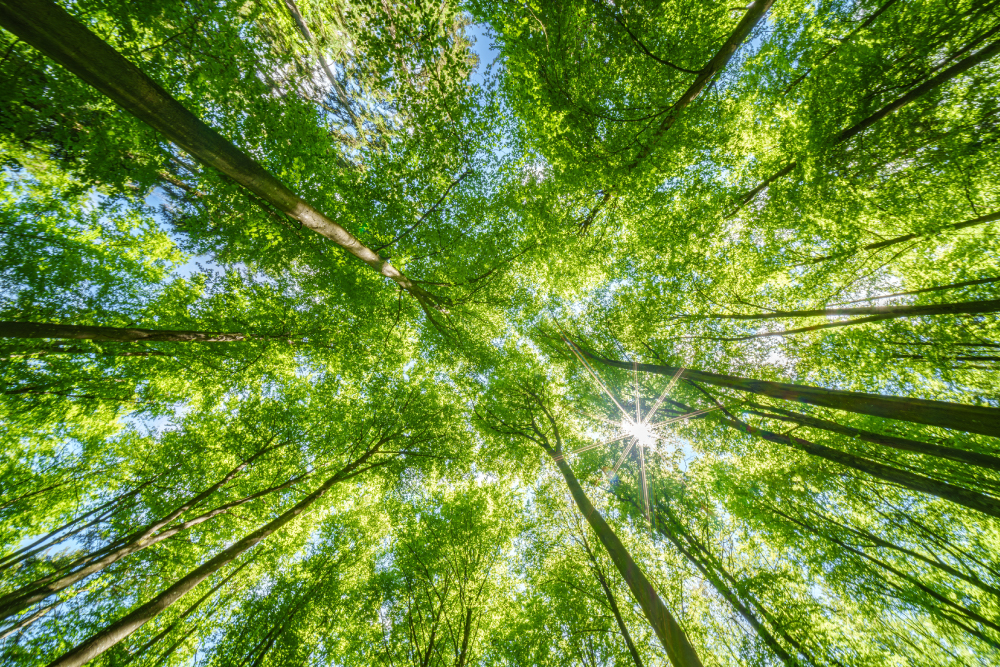 Slider It - Sustentabilidade que une tecnologia e inovação